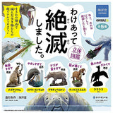 Capsule Q Museum Wakeatte zetsumetsushimashita 3D picture book [All 5 type set(Full Complete)]