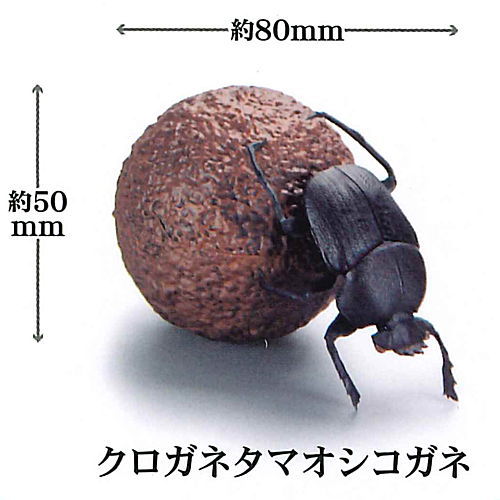 1/1 Dung beetle [1.Kuroganetamaokoshigane]