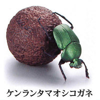 1/1 Dung beetle [2.Kenrantamaokoshigane]