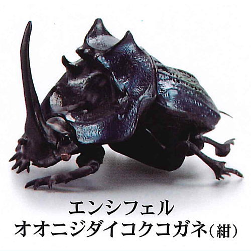 1/1 Dung beetle [3.Ensifer Onijidaikokukogane (navy blue)]