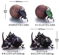 1/1 Dung beetle [All 4 type set(Full Complete)]