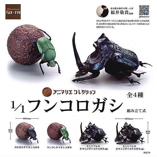 1/1 Dung beetle [All 4 type set(Full Complete)]