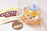 TAMA-KYU Newborn Baby bear in a honey bottle [2.Osuwari]