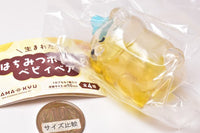 TAMA-KYU Newborn Baby bear in a honey bottle [3.Suyasuya]