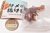 Shark Shell Mascot Figure [5.Heterodontus bullhead shark]