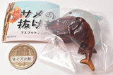 Shark Shell Mascot Figure [6.Great white shark hatching?]