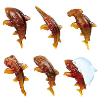 Shark Shell Mascot Figure [All 6  type set(Full Complete)]