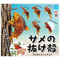 Shark Shell Mascot Figure [All 6  type set(Full Complete)]