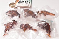 Shark Shell Mascot Figure [All 6  type set(Full Complete)]