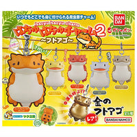 Hachu Hachu Charm Part.2 Bearded dragon [All 6 type set including Rare (Full Complete)]