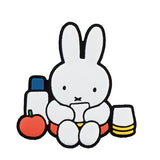 Miffy miffy rubber magnet [6.Miffy (picnic)]