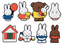 Miffy miffy rubber magnet [All 8 type set (Full Complete)]