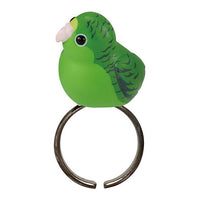 Ringcolle! Kotoring excellent [2.Barred parakeet]