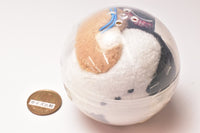 ARTUNIV Techni Colour Boku, shimaenaga. Yankee onigiri Plush mascot [1.Fried Shrimp]