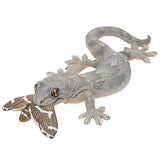 Nature Techni colour MONO PLUS Lizards and geckos magnets & ball chains [6.Japanese gecko (predation) Magnet]