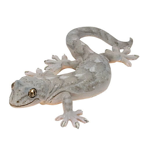 Nature Techni colour MONO PLUS Lizards and geckos magnets & ball chains [7.Japanese gecko Magnet]