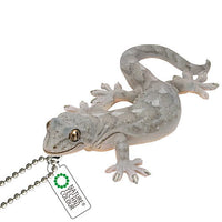 Nature Techni colour MONO PLUS Lizards and geckos magnets & ball chains [15.Japanese gecko Ball Chain]