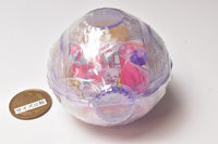 Delicious Party Pretty Cure Pretty Cure Jewelry Case [4.Cure Finale]