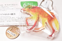 Animal Bone Acrylic Keychain [1.Maned wolf]