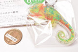 Animal Bone Acrylic Keychain [3.Veiled chameleon]