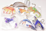 Animal Bone Acrylic Keychain [All 6 type set (Full Complete)]