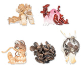 Mushroom dragon mascot ball chain Part.3 [All 5 type set (Full Complete)]