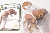 Capsule Q Museum Dinosaur Excavation 10 Strongest Hunter Retsuden Cretaceous North America Edition [4.Tyrannosaurus (Brown)]