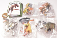 Capsule Q Museum Dinosaur Excavation 10 Strongest Hunter Retsuden Cretaceous North America Edition [All 5 type set(Full Complete)]