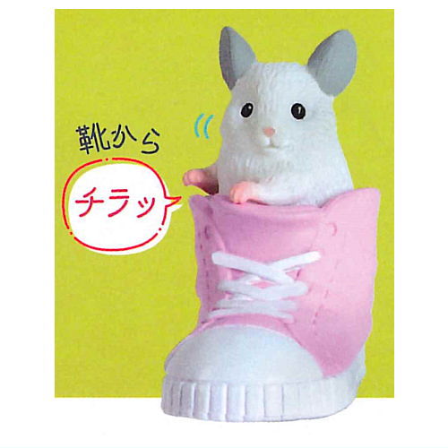 Chinchilla chillalism [3.A glimpse from shoes]