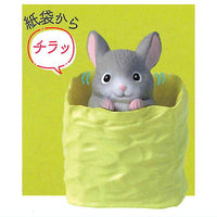 Chinchilla chillalism [4.A glimpse from the paper bag]