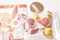 Pokemon Palette Color Collection Brown [4.Buneary]