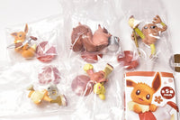 Pokemon Palette Color Collection Brown [All 5 type set(Full Complete)]