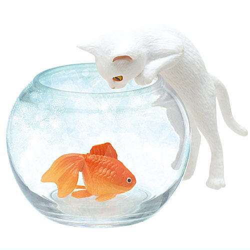 Cat and Goldfish [1.White cat and goldfish (red)]