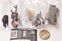 Mini Collection Insect 01 [1.Yamato beetle (Flying type)]