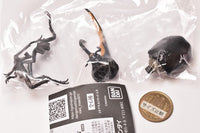 Mini Collection Insect 01 [4.Hercules Hercules (black)]