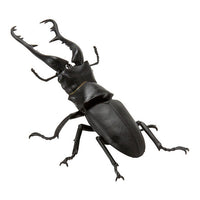 Mini Collection Insect 01 [5.Giraffa Nokogiri stag beetle]