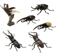 Mini Collection Insect 01 [All 6 type set (Full Complete)]