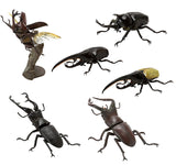 Mini Collection Insect 01 [All 6 type set (Full Complete)]