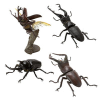 Mini Collection Insect 01 [Assorted 4 type set (1.Yamato beetle (Flying type)/2.Yamato beetle (walking)/5.Giraffa Nokogiri stag beetle/6.Nokogiri stag beetle)]