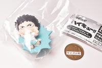 Buchimasu! Haikyu!! Relief Figure Magnet Part.2 [2.Hajime Iwaizumi]