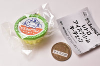 pickles the frog Retro Ice Cream Keychain [6.Retro Shaved Ice: Melon]