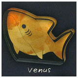 Leonardo Shark Collection Upright! acrylic mascot [3.Venus]