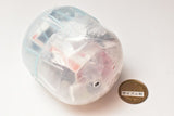 1/64PLUS Camping Trailer Registro Cuco Edition [4.Orange metallic]