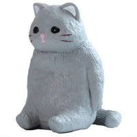 Kyomu. Cat [2.grey cat]