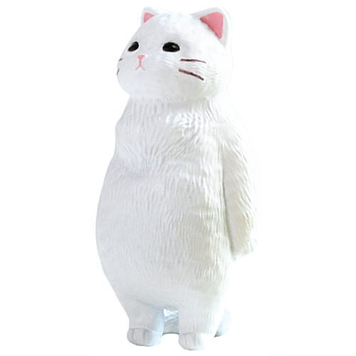 Kyomu. Cat [4.White cat]