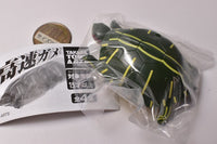 Fast turtle [1.Red-eared slider]