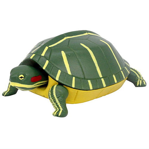 Fast turtle [1.Red-eared slider]