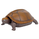 Fast turtle [3.Japanese pond turtle]