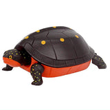 Fast turtle [4.Spotted turtle]