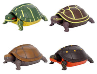 Fast turtle [All 4 type set (Full Complete)]